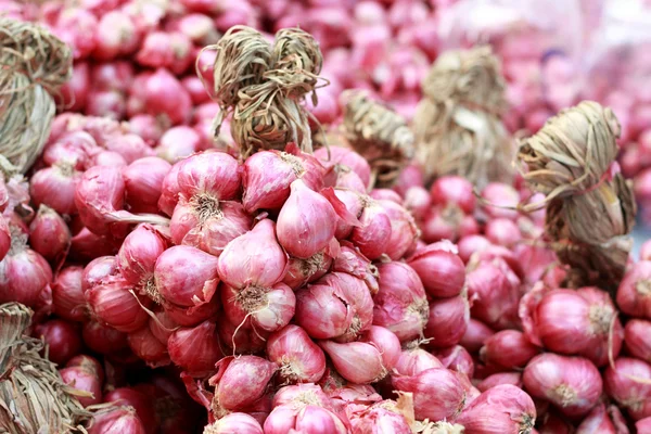 Shallot - cebolla roja de asia en el mercado — Foto de Stock