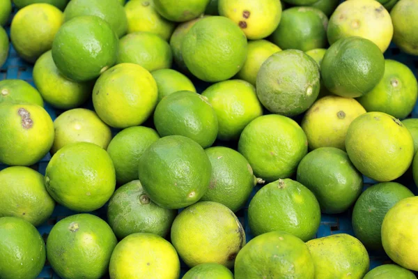 Mucho limón verde. — Foto de Stock