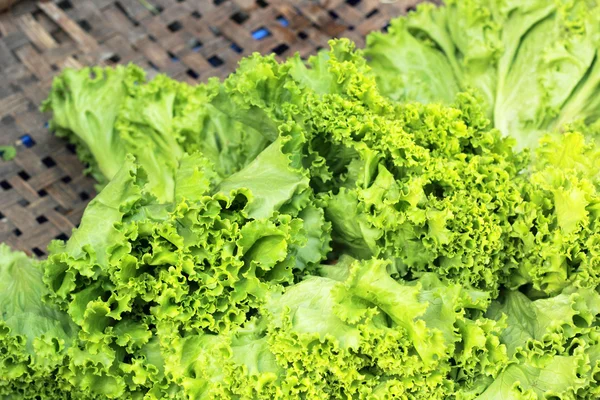 Lechuga verde fresca en el mercado. —  Fotos de Stock