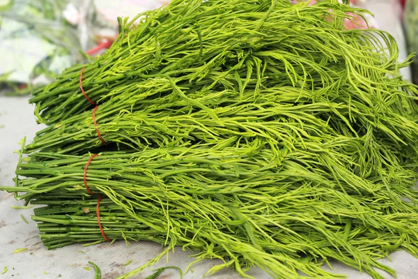 Acacia pennata in Thaise verse markt — Stockfoto