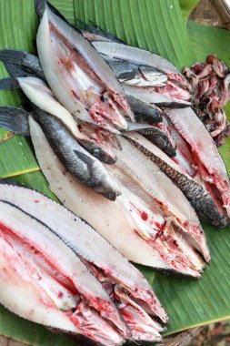 Pazarda taze balık.