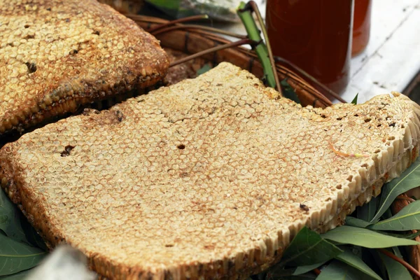Čerstvý med hřeben — Stock fotografie