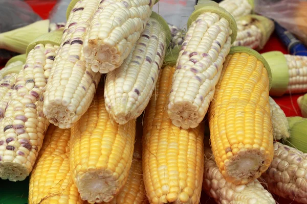 Sweet corn in the market — Stock Photo, Image