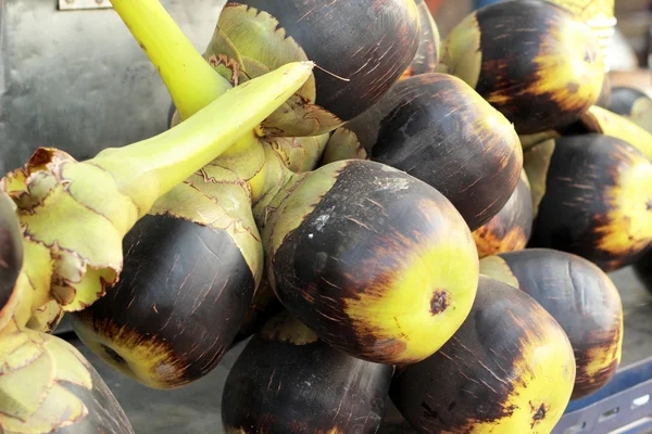 Palmira asiatica palma da zucchero di palma sul mercato — Foto Stock