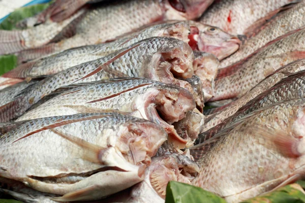 Verse vis op de markt. — Stockfoto