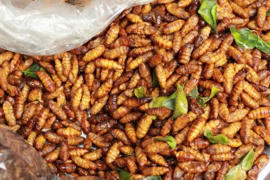 Kızarmış ipek piyasada solucanlar