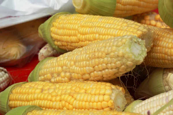 Sweet corn in the market — Stock Photo, Image