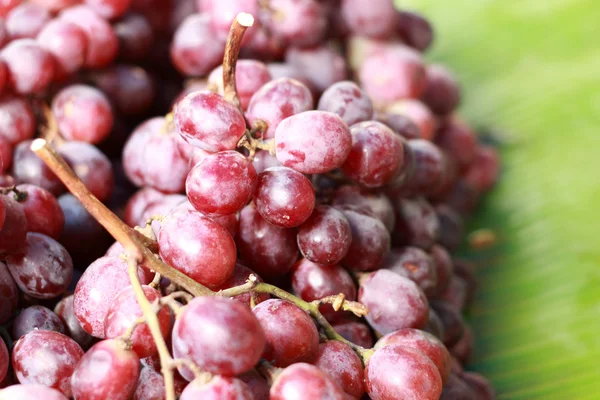 Uvas frescas no mercado — Fotografia de Stock