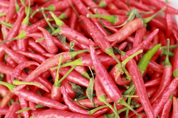 Red chili in the market — Stock Photo, Image