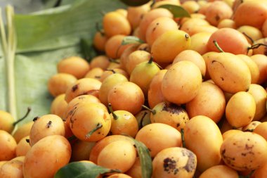 Marian Erik meyve - Asya meyve