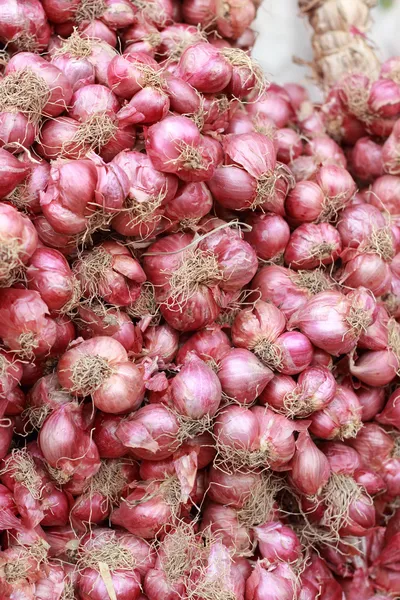 Shallot - cebolla roja de asia en el mercado — Foto de Stock