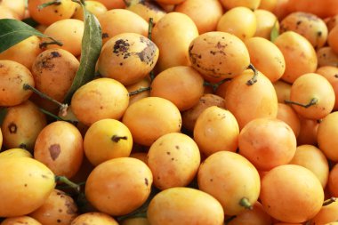 Marian Erik meyve - Asya meyve