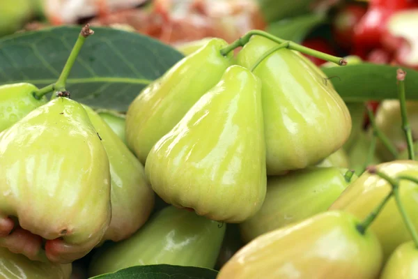 Rose apple in the market — Stock Photo, Image