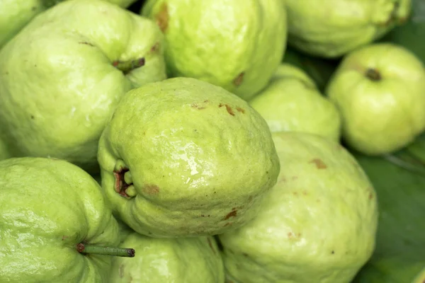 Guaven-Frucht auf dem Markt — Stockfoto