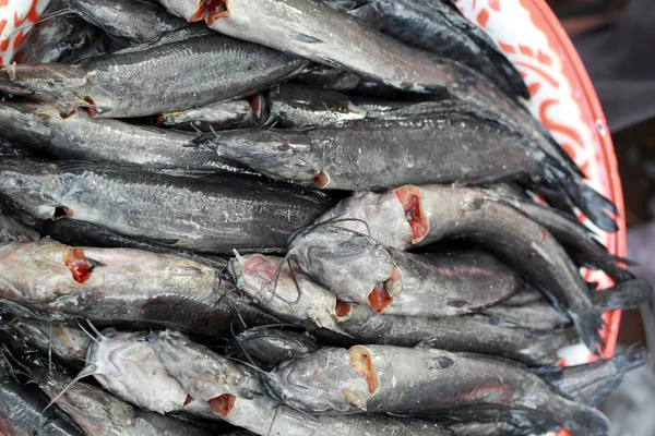 Fresh fish in the market. — Stock Photo, Image