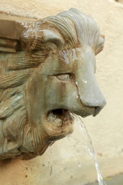 su - vintage tarzı tükürme aslan heykeli