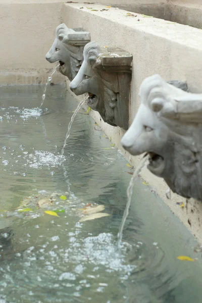 Lion statue  spitting water - vintage style — Stock Photo, Image