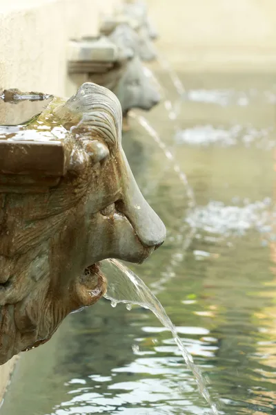 Lion statue  spitting water - vintage style — Stock Photo, Image