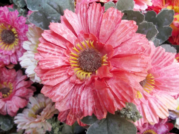 Schöne Chrysantheme aus künstlichen Blumen — Stockfoto