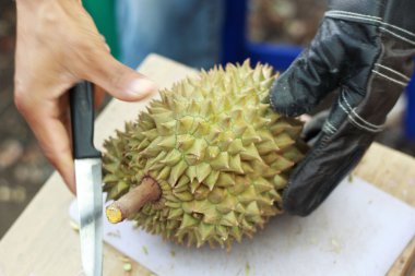 Durian meyvesi pazarda