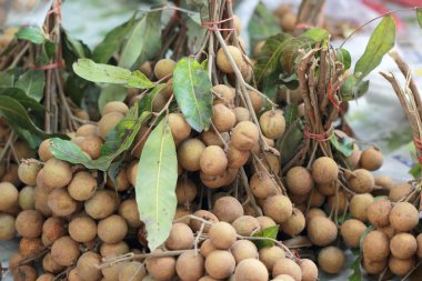 piyasada longan meyve