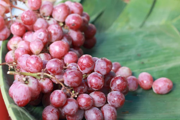 Uve fresche presenti sul mercato — Foto Stock