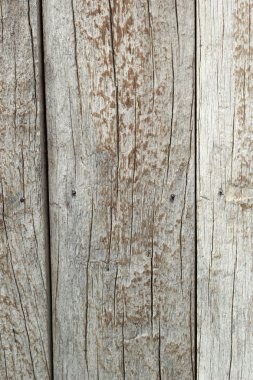 Ahşap doku. arkaplan eski panelleri