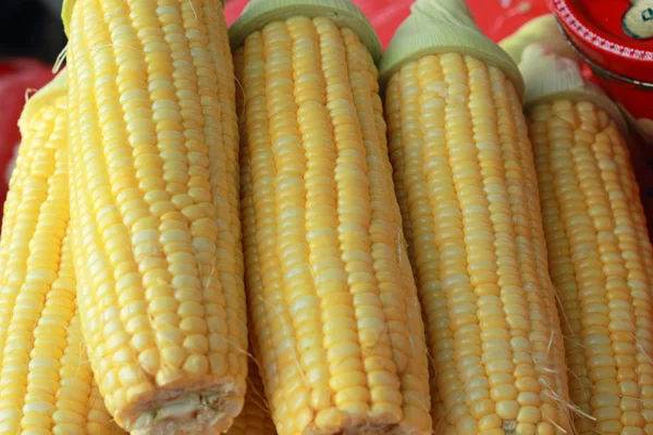 Sweet corn in the market — Stock Photo, Image