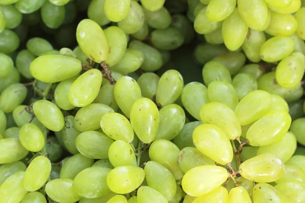 Raisins frais sur le marché — Photo