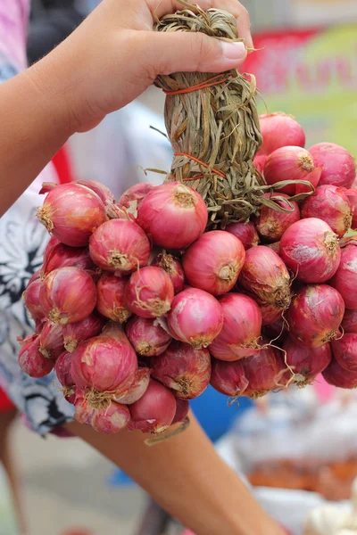 Shallot - asia red onion in the market — Stock Photo, Image