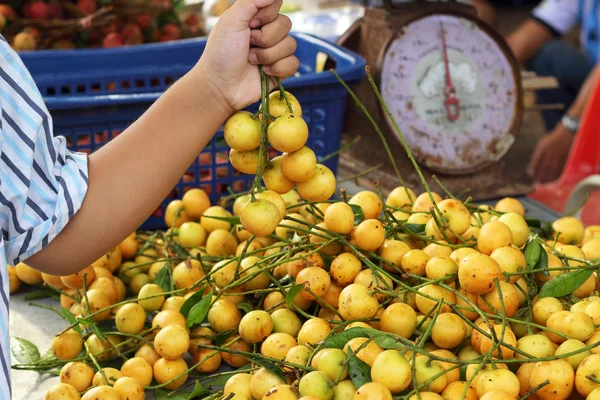 Fruits de prune mariale - fruits asiatiques — Photo