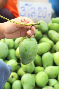 taze mango meyve Pazar