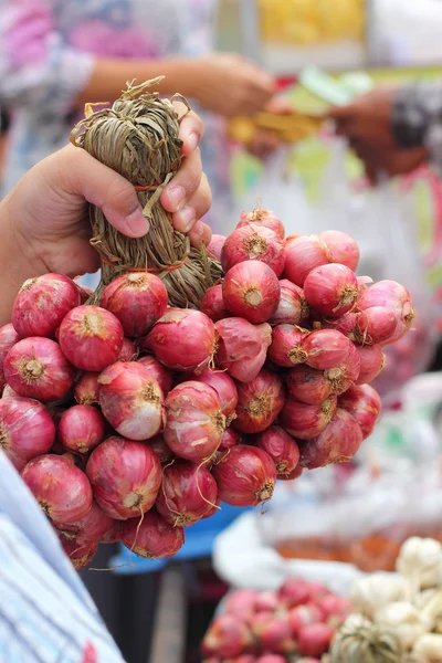 Schalottenlök - Asien röd lök i marknaden — Stockfoto