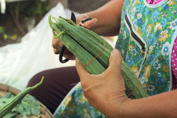 Fresh zucchini in the market - in hand — Stock Photo, Image