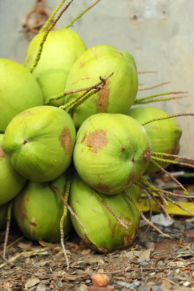 Kokosnoot fruit op de markt — Stockfoto