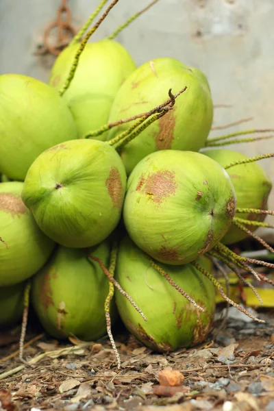 Kokosnoot fruit op de markt — Stockfoto