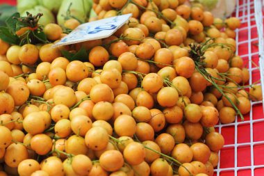 Marian Erik meyve - Asya meyve