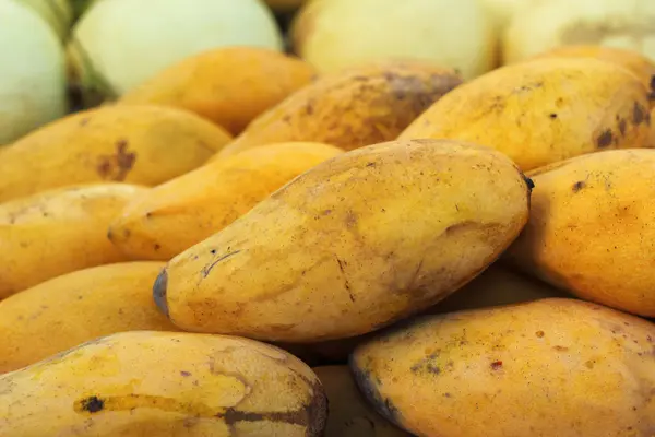 市场上成熟的芒果 — 图库照片
