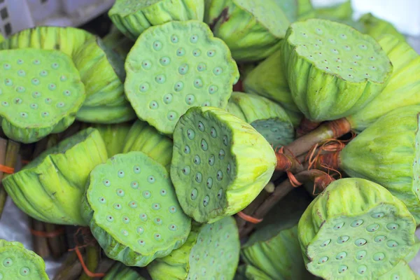 Lotus tohum içinde belgili tanımlık çarşı — Stok fotoğraf