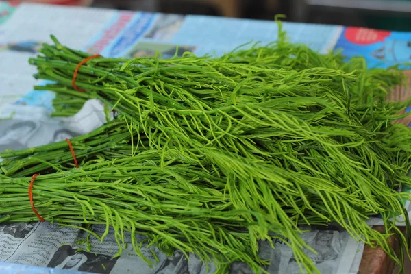 Akazie pennata auf dem thailändischen Frischmarkt — Stockfoto