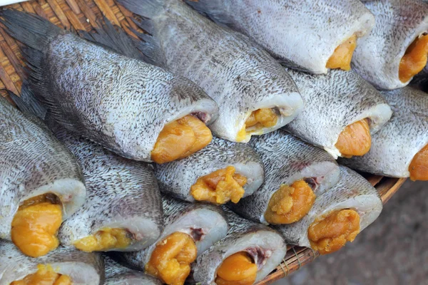 Fresh fish in the market. — Stock Photo, Image