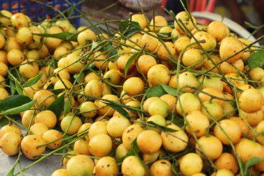 Marian Erik meyve - Asya meyve