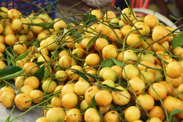 मारियन प्लम फळ आशिया फळ — स्टॉक फोटो, इमेज