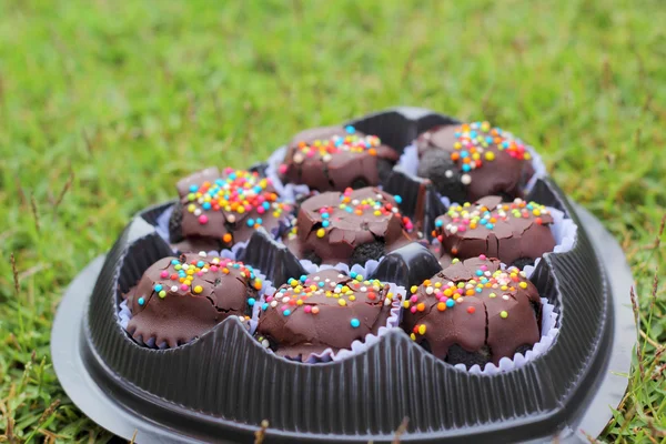 As bolas de chocolate na grama verde — Fotografia de Stock