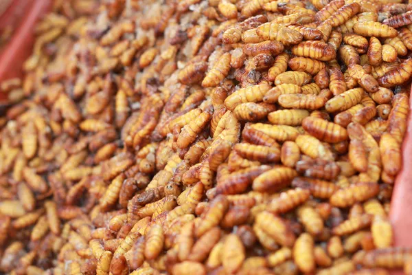 Жареные шелковые черви на рынке — стоковое фото