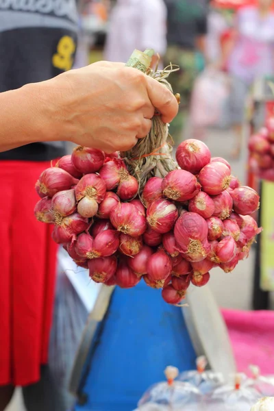 Shallot - cebolla roja de asia en el mercado — Foto de Stock