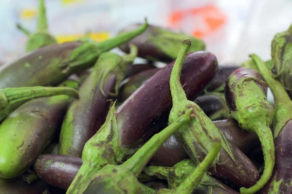 Eggplant purple in the market — Stock Photo, Image