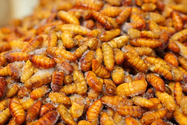 Bichos de seda fritos no mercado — Fotografia de Stock