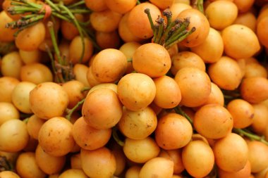 pazarda olgun longkong