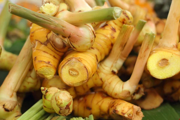 Ginger root in the market — Stock Photo, Image